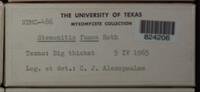 Image Associated With the Occurence
